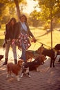 Happy girls dog walker with dogs enjoying in funny walking Royalty Free Stock Photo