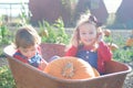 Happy girls sitting inside wheelbarrow at field pumpkin patch Royalty Free Stock Photo