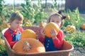 Happy girls sitting inside wheelbarrow at field pumpkin patch Royalty Free Stock Photo