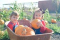 Happy girls sitting inside wheelbarrow at field pumpkin patch Royalty Free Stock Photo