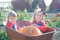 Happy girls sitting inside wheelbarrow at field pumpkin patch Royalty Free Stock Photo