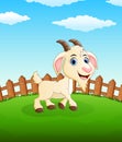 Happy goat cartoon on the field