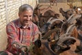 Happy Goat Farm Owner Sitting and Feeding Goats