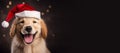 Happy Golden Retriever wearing a Santa hat. Christmas pet theme banner. Generative AI image