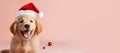 Happy Golden Retriever puppy wearing a Santa hat. Christmas pet theme banner. Generative AI image