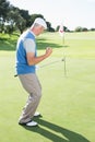 Happy golfer cheering on putting green at eighteenth hole Royalty Free Stock Photo