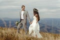 Happy gorgeous bride and groom walking in sun light holding han Royalty Free Stock Photo