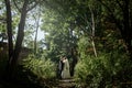 Happy gorgeous bride and stylish groom holding hands and walking Royalty Free Stock Photo