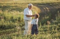 Happy grandfather and grandson walking at summer meadow.  Cute boy gives flowers his old grandpa Royalty Free Stock Photo