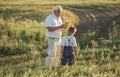 Happy grandfather and grandson walking at summer meadow.  Cute boy gives flowers his old grandpa Royalty Free Stock Photo