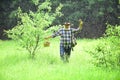 Happy Grandfather with mushrooms in busket hunting mushroom in warm summer rain. Senior picking wild berries and Royalty Free Stock Photo