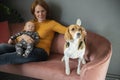 Happy grandmother,baby grandson and cute beagle dog on sofa