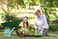 Happy grandmother with her granddaughter gardening Royalty Free Stock Photo