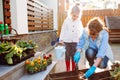 Happy grandmother with her little granddaughter gardening in a backyard. Family ang different generation. Grandmawith and