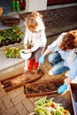 Happy grandmother with her little granddaughter gardening in a backyard. Sunset. Family ang different generation. Grandmawith and Royalty Free Stock Photo