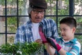 Gandpa assist grandchild wearing glove while planting small tree flower together at greenhouse. Senior man grandparent wear