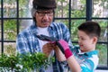 Grandpa assist grandchild wearing glove while planting small tree flower together at greenhouse. Senior man grandparent wear