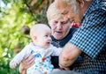 grandparents holding their grandchild boy Royalty Free Stock Photo