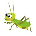Grasshopper animal cartoon character vector illustration
