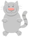 Happy gray cat cartoon animal character