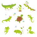 Happy Green Animals with Turtle, Frog, Snake, Iguana and Chameleon Vector Set