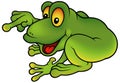 Happy Green Frog