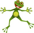 Happy green frog Royalty Free Stock Photo
