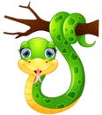 Happy green snake on the branch Royalty Free Stock Photo