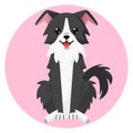 Happy sitting dark gray Border Collie dog with smile in flat style Royalty Free Stock Photo