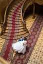 Happy groom carry his wife near big wooden stairs at old vintage house, top view Royalty Free Stock Photo