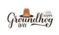 Happy Groundhog Day calligraphy hand lettering with cute cartoon groundhog isolated on white. Vector template for greeting card, Royalty Free Stock Photo