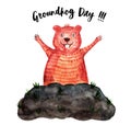 Groundhog Day watercolor