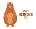 Happy groundhog day, funny groundhog character. Congratulation banner, postcard, poster