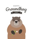 Happy Groundhog Day greeting card or poster design with text and cute marmot with snowdrop flower on white background. - Vector Royalty Free Stock Photo