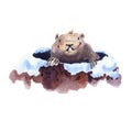 Happy Groundhog Day - hand drawing watercolor groundhog