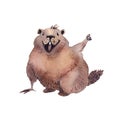 Happy Groundhog Day - hand drawing watercolor groundhog Royalty Free Stock Photo