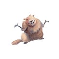 Happy Groundhog Day - hand drawing watercolor groundhog Royalty Free Stock Photo
