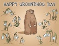 Happy Groundhog Day postcard. Groundhog in the snowdrops field. Cute cartoon groundhog image