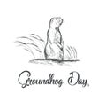 Happy Groundhog Day sketched vector illustration.