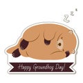 Happy Groundhog Day typography and design with cute groundhog character
