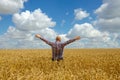 Happy hairless farmer with beard in ripe wheat field with handsup to a blue sky. great harvest.