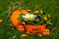 Happy Halloween Royalty Free Stock Photo