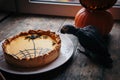 Happy Halloween. African Grey Parrot baby with a pie and pumpkins