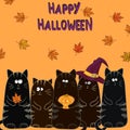 Happy Halloween background with funny black cats Royalty Free Stock Photo