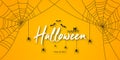 Happy Halloween Banner Or Party Invitation. Halloween Lettering With Spiders, Spider Web, Bat And Cat At Orange Background