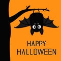 Happy Halloween. Bat hanging on tree. Cute cartoon baby character with big open wing, ears, legs. Black silhouette. Forest animal. Royalty Free Stock Photo