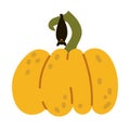 Happy Halloween. A black bat is hanging on a yellow pumpkin and sleeping. Isolated illustration on a white background Royalty Free Stock Photo