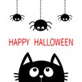 Happy Halloween. Black cat face head silhouette looking up to three hanging on dash line web spider insect. Cute cartoon character