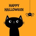 Happy Halloween. Black cat kitten. Hanging spider. Bones text font. Bone letter type. Cute cartoon kawaii character. Pet baby