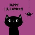 Happy Halloween. Black cat kitten. Hanging spider. Bones text font. Bone letter type. Cute cartoon kawaii character. Pet baby